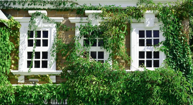 sash windows haringey